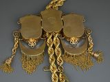 a gold necklace with a bunch of charms hanging from it