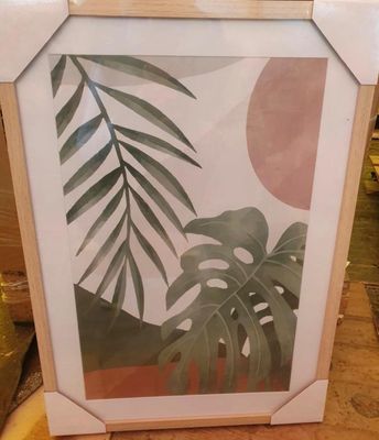 la photo d'une photo représentant une plante dans un cadre