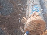 un gros morceau de bois posé par terre