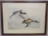 aquarelle encadrée représentant deux canards en plein vol