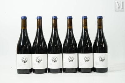 six bouteilles de vin sont alignées sur une surface blanche