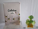 un petit flacon de parfum à côté d'une petite boîte de parfum