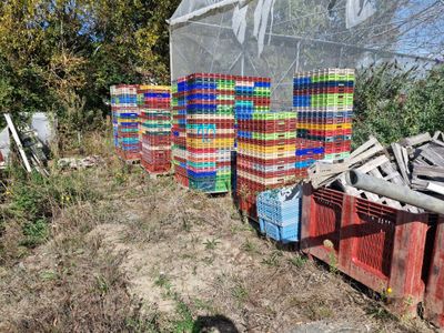 un tas de caisses posées dans l'herbe, près d'une clôture