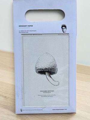 une boîte sur laquelle est dessiné un champignon