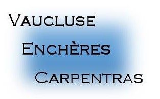 un logo bleu et blanc portant l'inscription « Vauguse Enchères Carpentras »