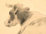 un dessin représentant une vache assise