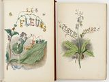 an open book with illustrations of plants and insects on it