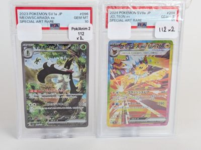 Deux cartes Pokémon se trouvent dans un étui en plastique transparent