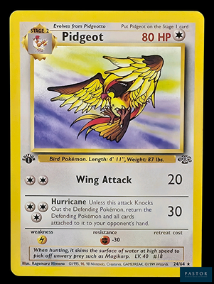 une carte Pokémon sur laquelle figure l'image d'un oiseau