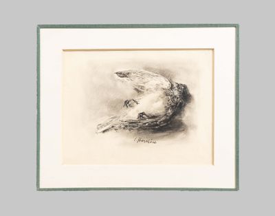 drawing of a bird in flight in a white frame on a gray background