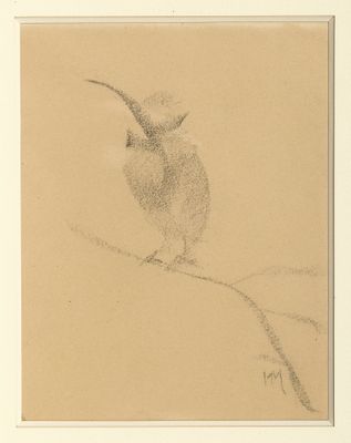 dessin au crayon représentant un oiseau perché sur une branche d'arbre