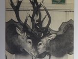 a black and white photo of a deer with antlers on it ' s head