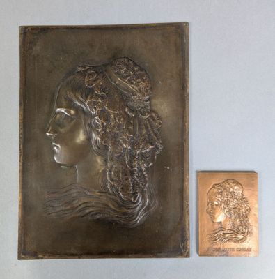 an image of a bronze plaque with a woman ' s face on it