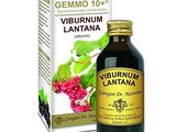 un flacon de sirop de vitamine lantanana à côté d'une boîte