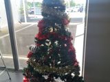 a small christmas tree in the middle of a room