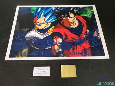 Photo dédicacée de Gohan et Vegeta de Dragon Ball