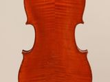an old violin with a wooden back and a long neck