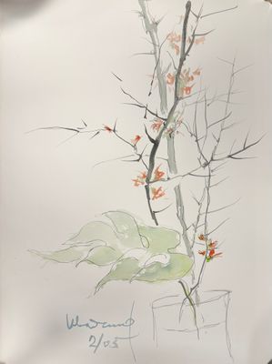 un dessin représentant une plante dans un vase posé sur une table