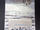 a picture of a card with a picture of a wolf on it