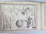 un livre sur lequel figure un dessin représentant des plantes et des fleurs