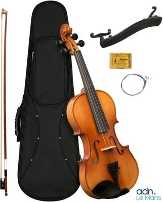 un gros plan d'un violon et d'un étui à violon sur fond blanc
