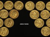 gold coins are arranged in the shape of a world map