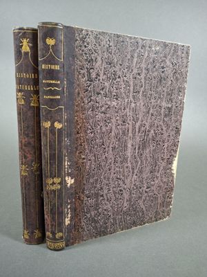 un vieux livre posé sur une table à côté d'un autre livre