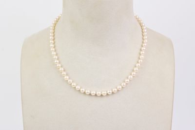 gros plan d'un torse de mannequin portant un collier
