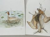deux tableaux représentant des oiseaux posés sur la table