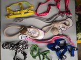 several pairs of shoes and leashes laid out on a table