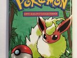 a close up of a bag of pokemon trading cards on a table