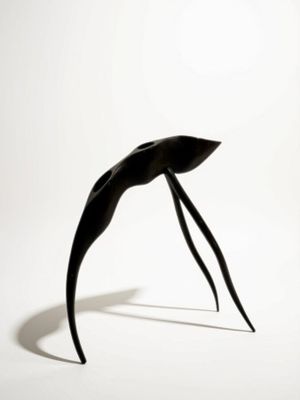 une sculpture noire représentant un oiseau sur une surface blanche