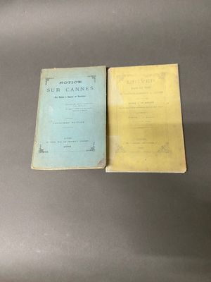 Il y a deux livres posés sur une table : l'un est jaune et l'autre est bleu.