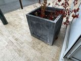 a plant that is sitting in a planter on the sidewalk