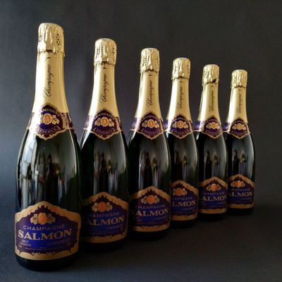 Six btles CHAMPAGNE brut, Salmon. - Photo 1
