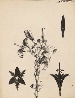 un dessin en noir et blanc représentant une plante avec des fleurs et des feuilles