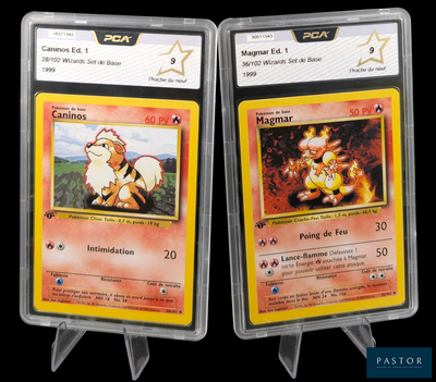 Voici deux cartes Pokémon sur lesquelles figurent l'image d'un homme et d'une femme.
