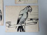 three drawings of birds on the wall of a kitchen
