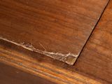a close up of a piece of wood on a table