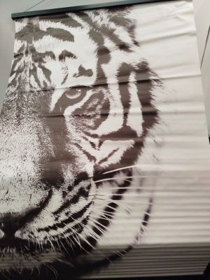 une image représentant un tigre peinte sur le côté d'un bus