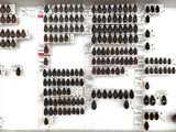 a picture of a display of bugs on a wall