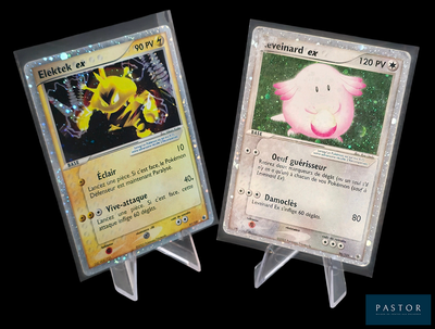deux cartes Pokémon exposées sur un fond noir