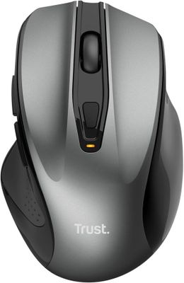 the computer mouse is silver and has a black button