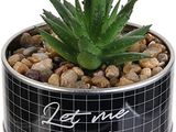 a small pot with a plant in it that says let the good times