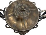 an image of a silver plate with a lion head on it