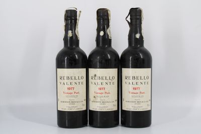 trois bouteilles de vin rouge posées l'une à côté de l'autre sur une surface blanche