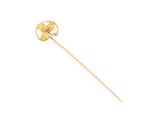 a close up of a stick with a flower on it