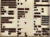 a lot of bugs that are on display in a box