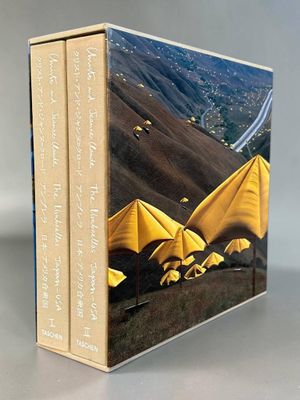 three books in a box on a table with a view of a valley