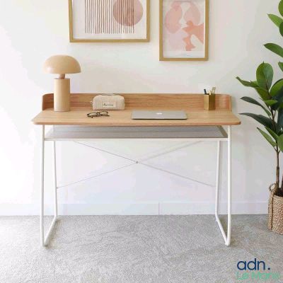 un bureau avec une lampe et une plante posée dessus